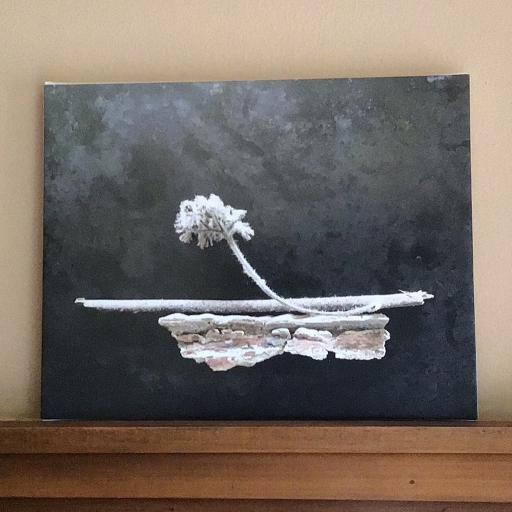 Photo assemblage on canvas